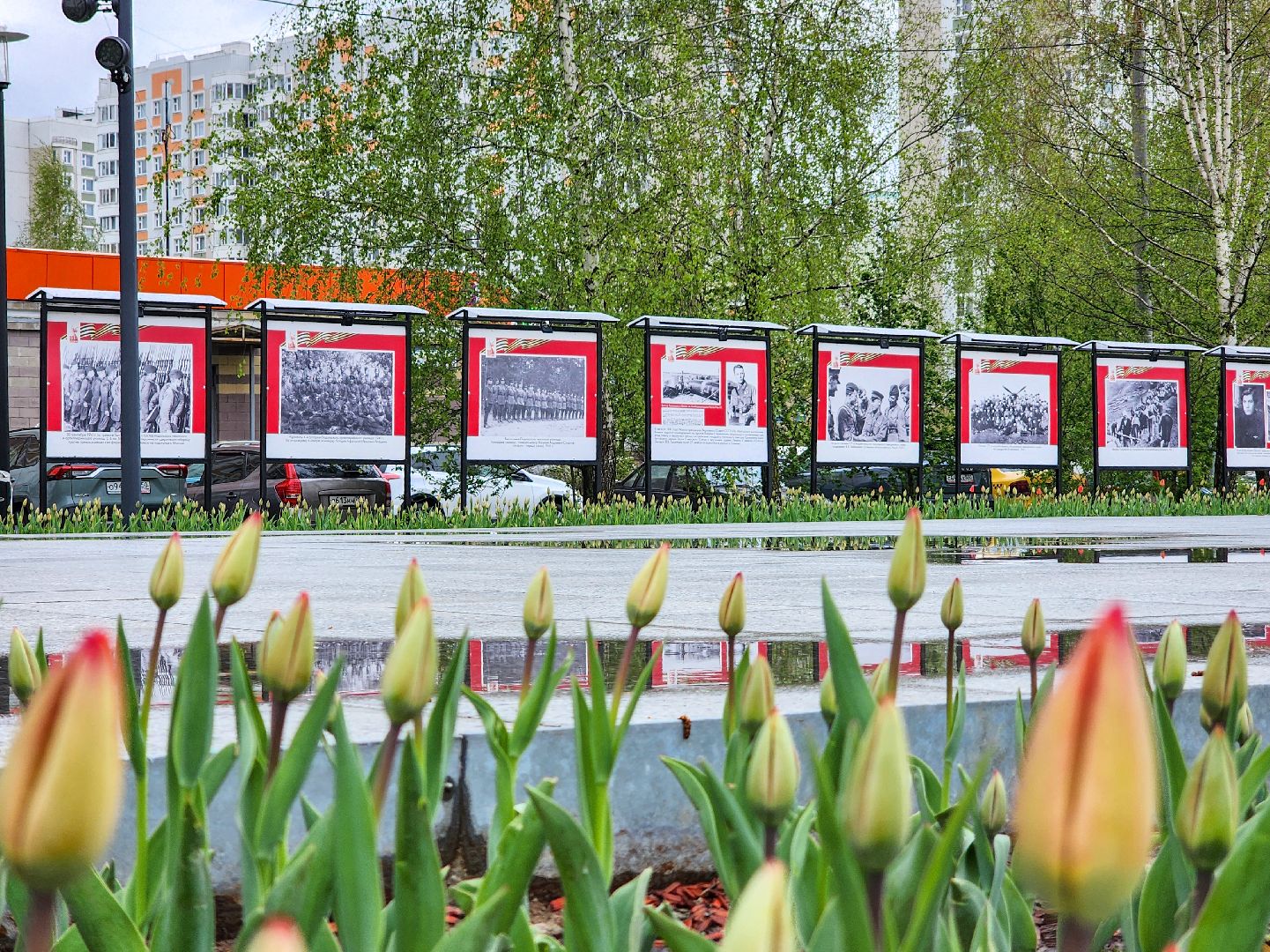 Подольск, фотовыставка, 80 лет победе,защитники отечества,