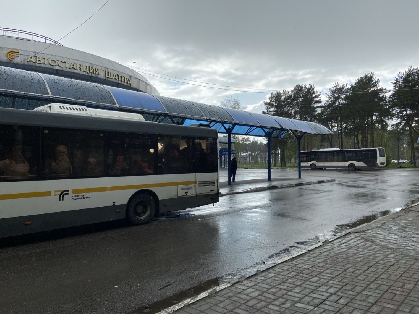 транспорт подмосковья, автобусы, шатурское патп,летние автобусные маршруты,