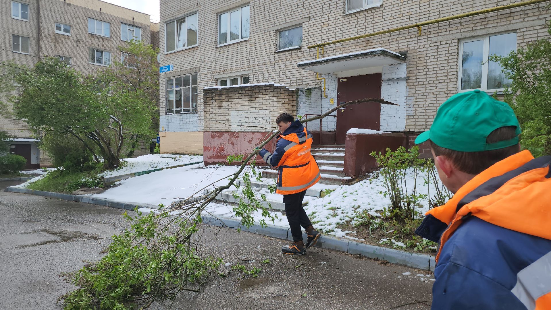 Истра, коммунальная служба, спил деревьев,
