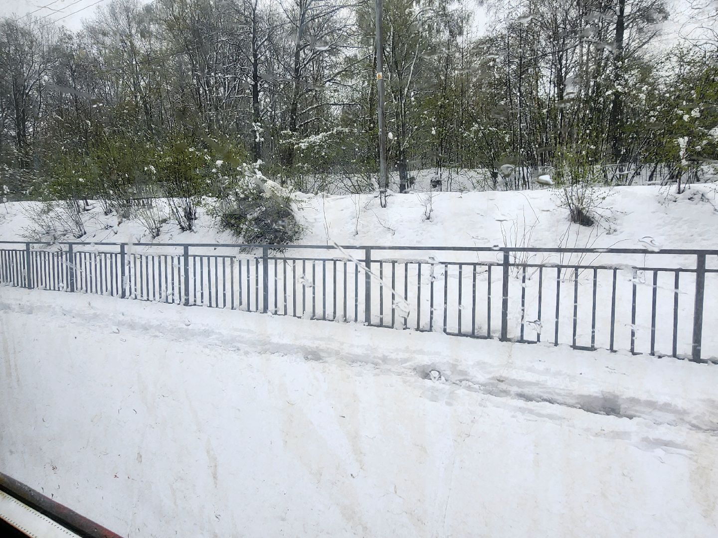 сергиев посад, софрино, электрички, задержки,