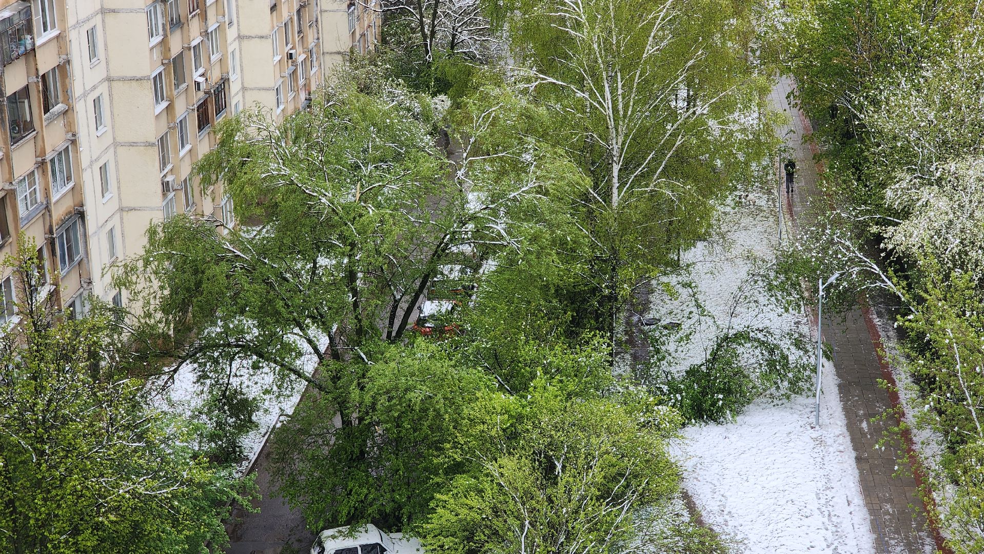 красногорск, снегопад, май, скандинавский циклон, ураган,