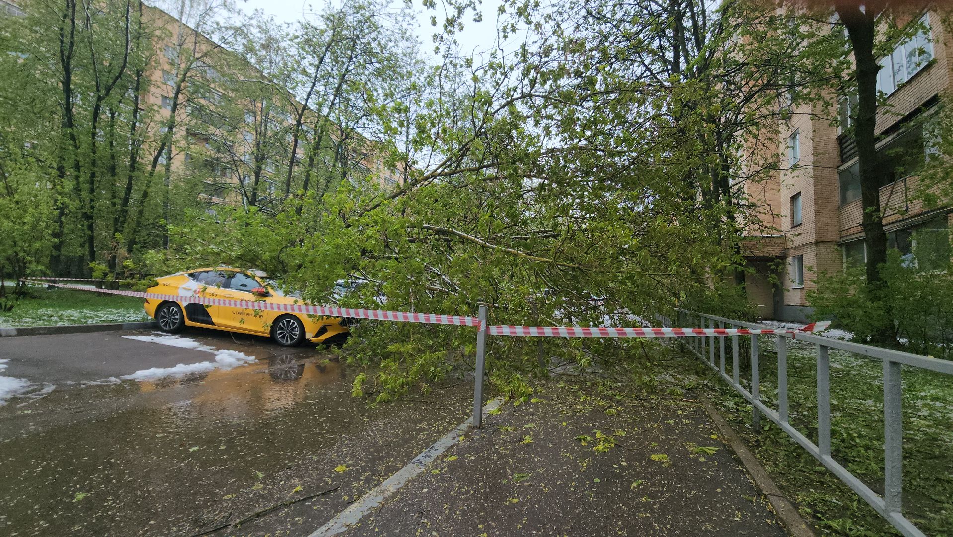 красногорск, снегопад, май, скандинавский циклон, ураган,