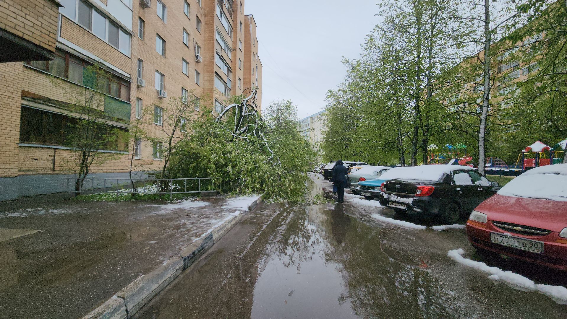 красногорск, снегопад, май, скандинавский циклон, ураган,
