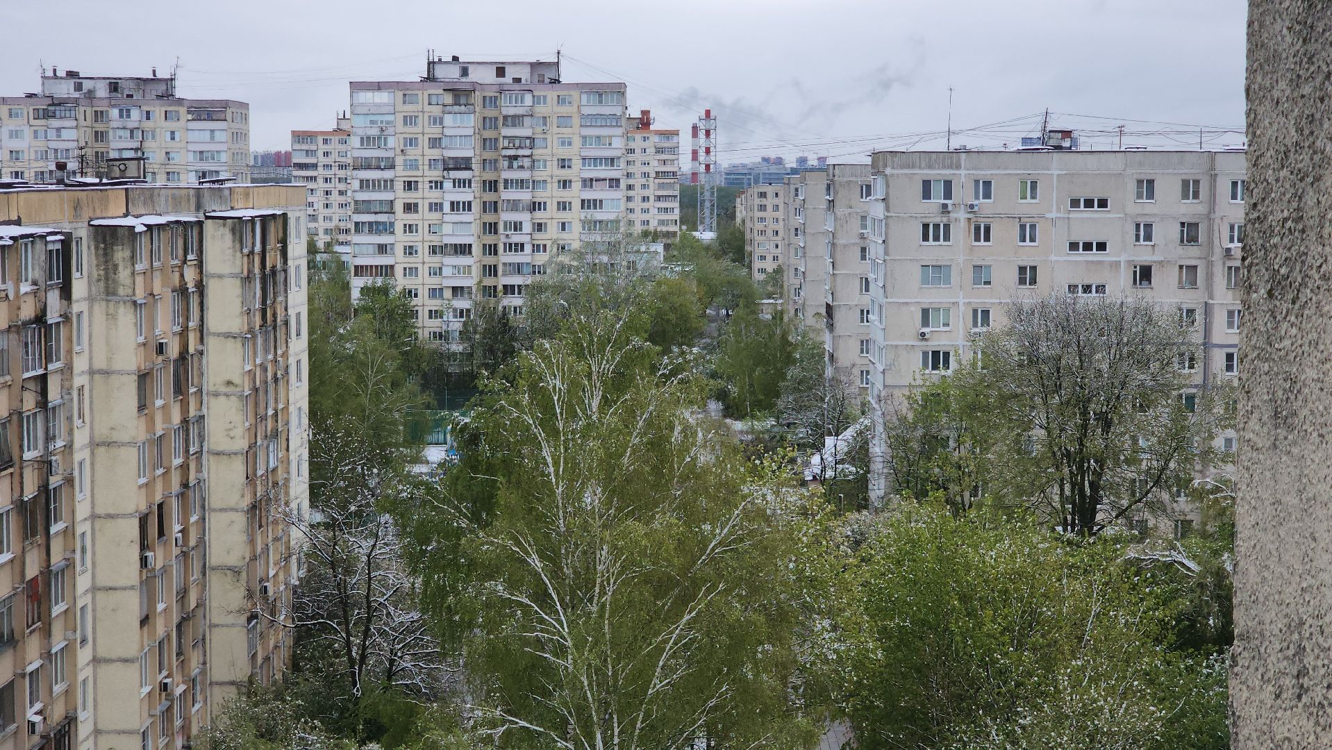 красногорск, снегопад, май, скандинавский циклон, ураган,