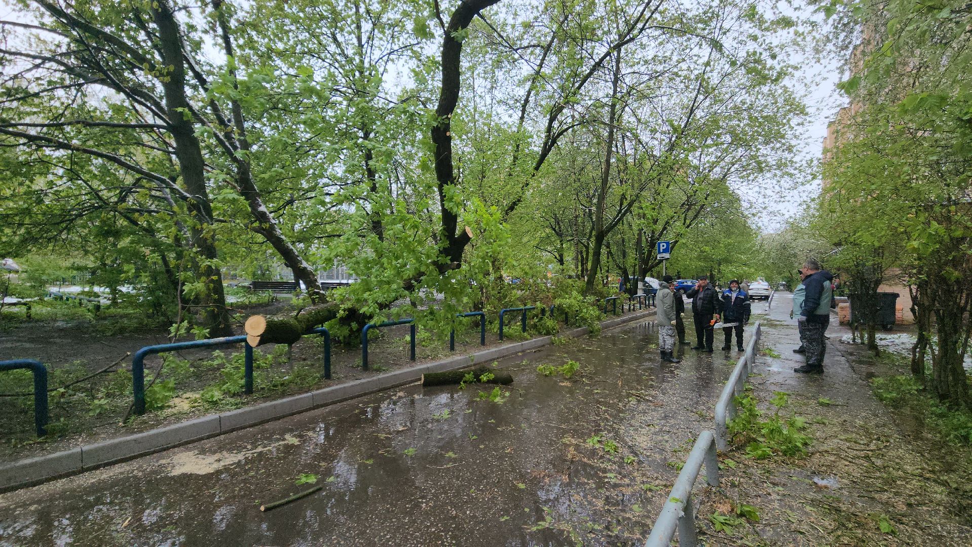 красногорск, снегопад, май, скандинавский циклон, ураган,