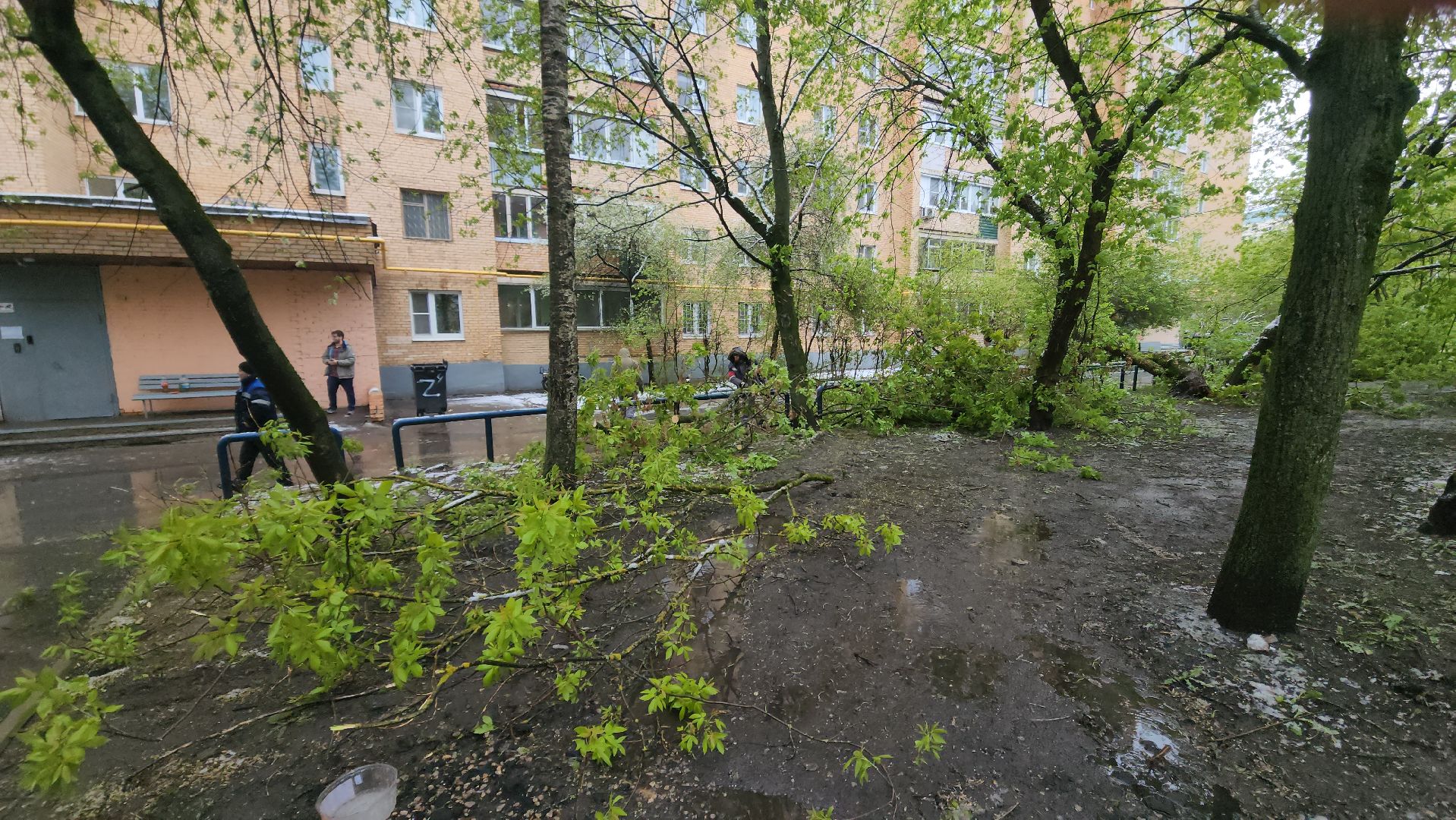 красногорск, снегопад, май, скандинавский циклон, ураган,