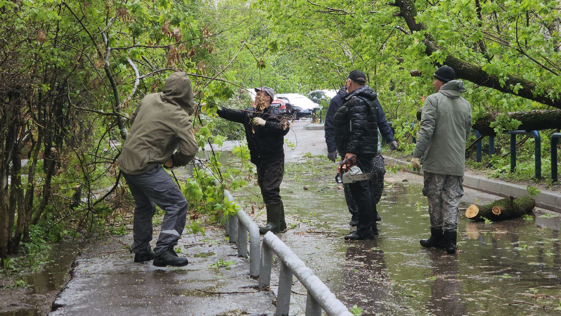 красногорск, снегопад, май, скандинавский циклон, ураган,