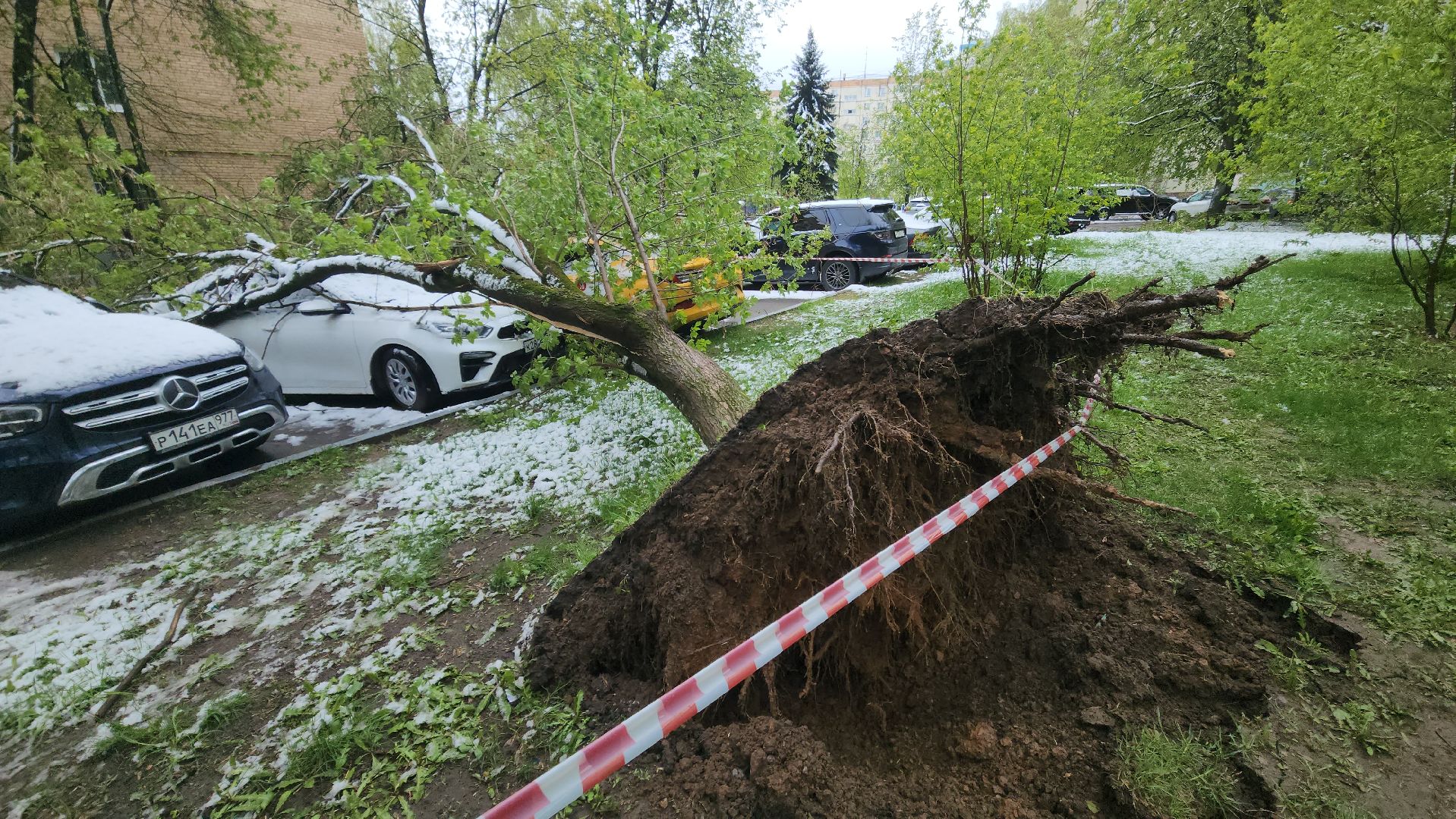 красногорск, снегопад, май, скандинавский циклон, ураган,
