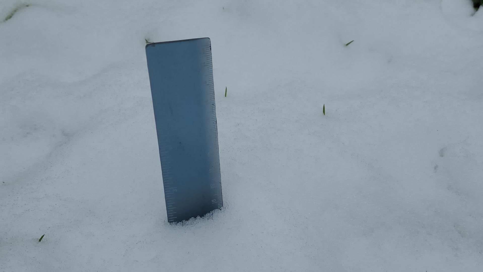 красногорск, снегопад, май, скандинавский циклон, ураган,