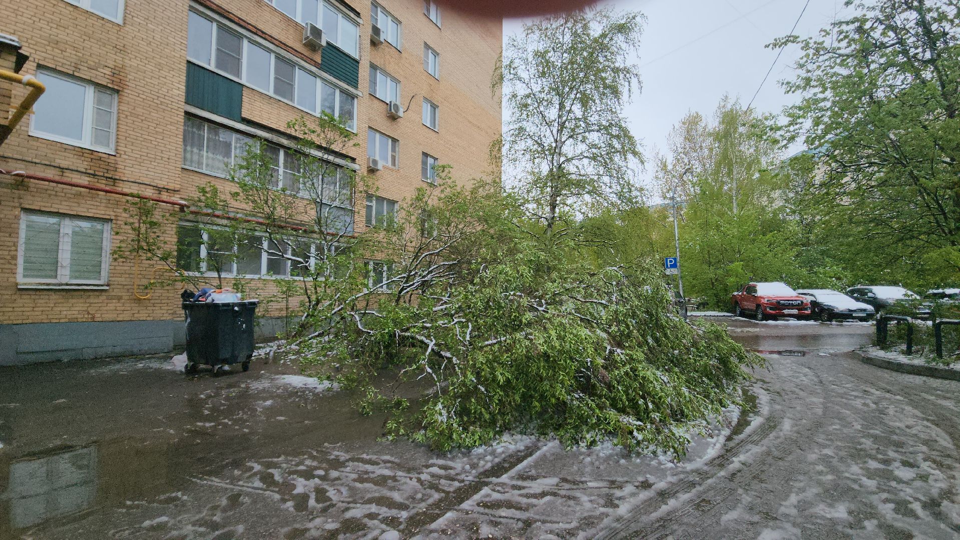 красногорск, снегопад, май, скандинавский циклон, ураган,