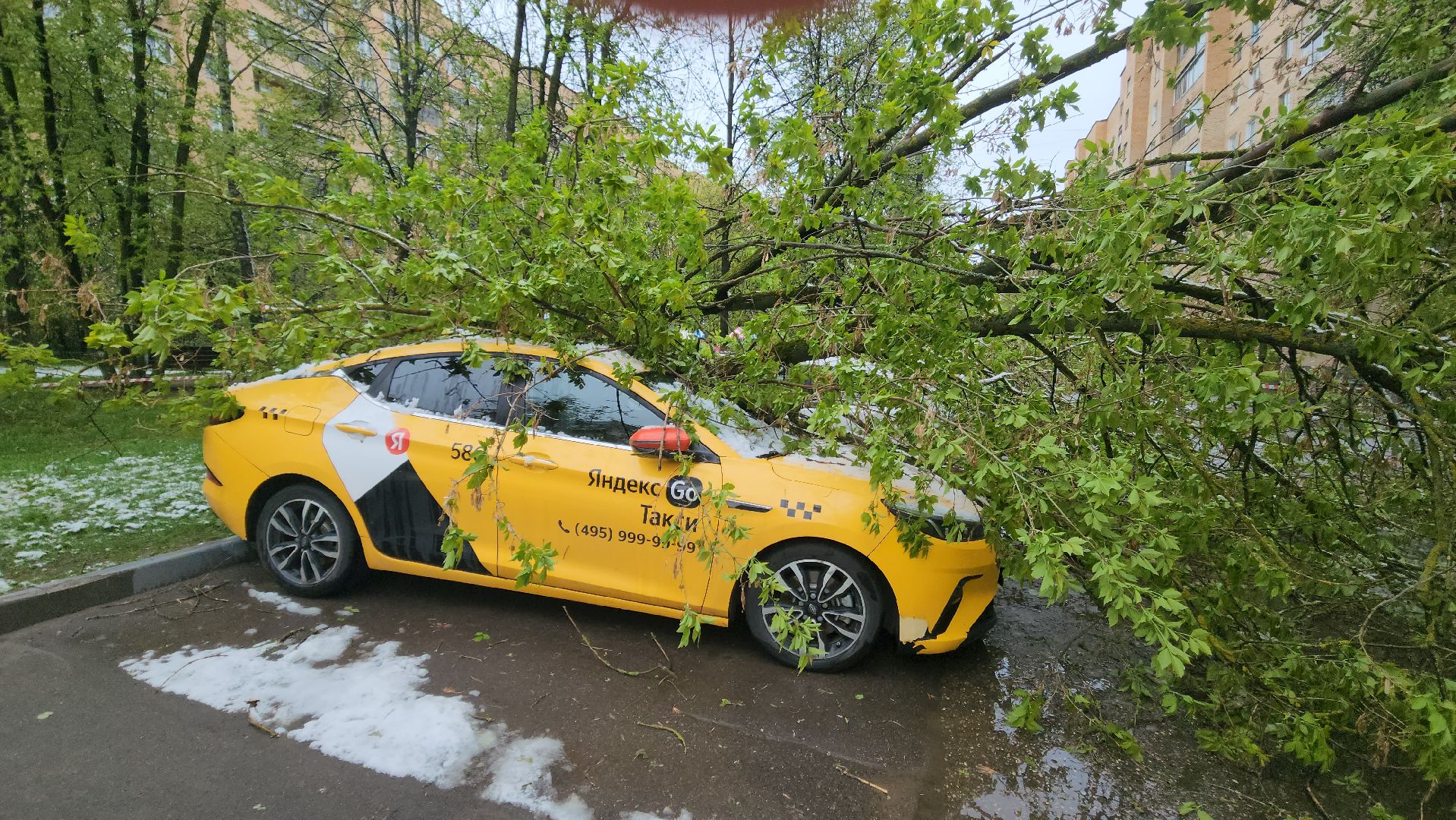 красногорск, снегопад, май, скандинавский циклон, ураган,