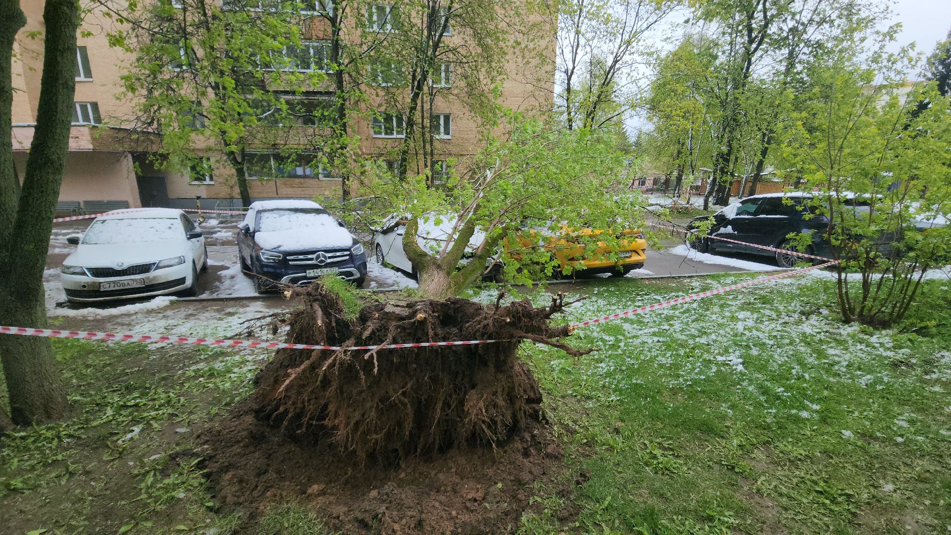 красногорск, снегопад, май, скандинавский циклон, ураган,