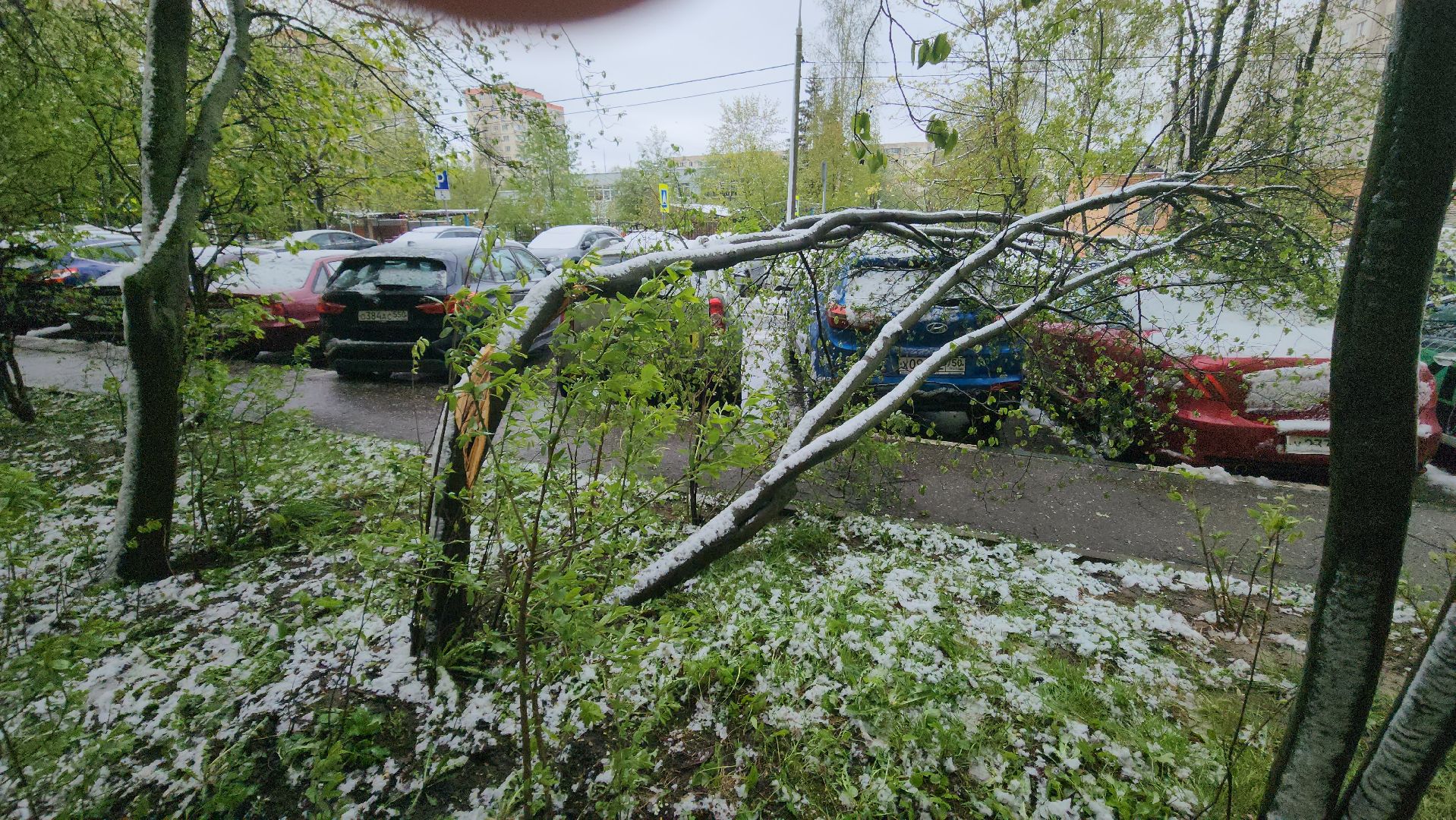 красногорск, снегопад, май, скандинавский циклон, ураган,