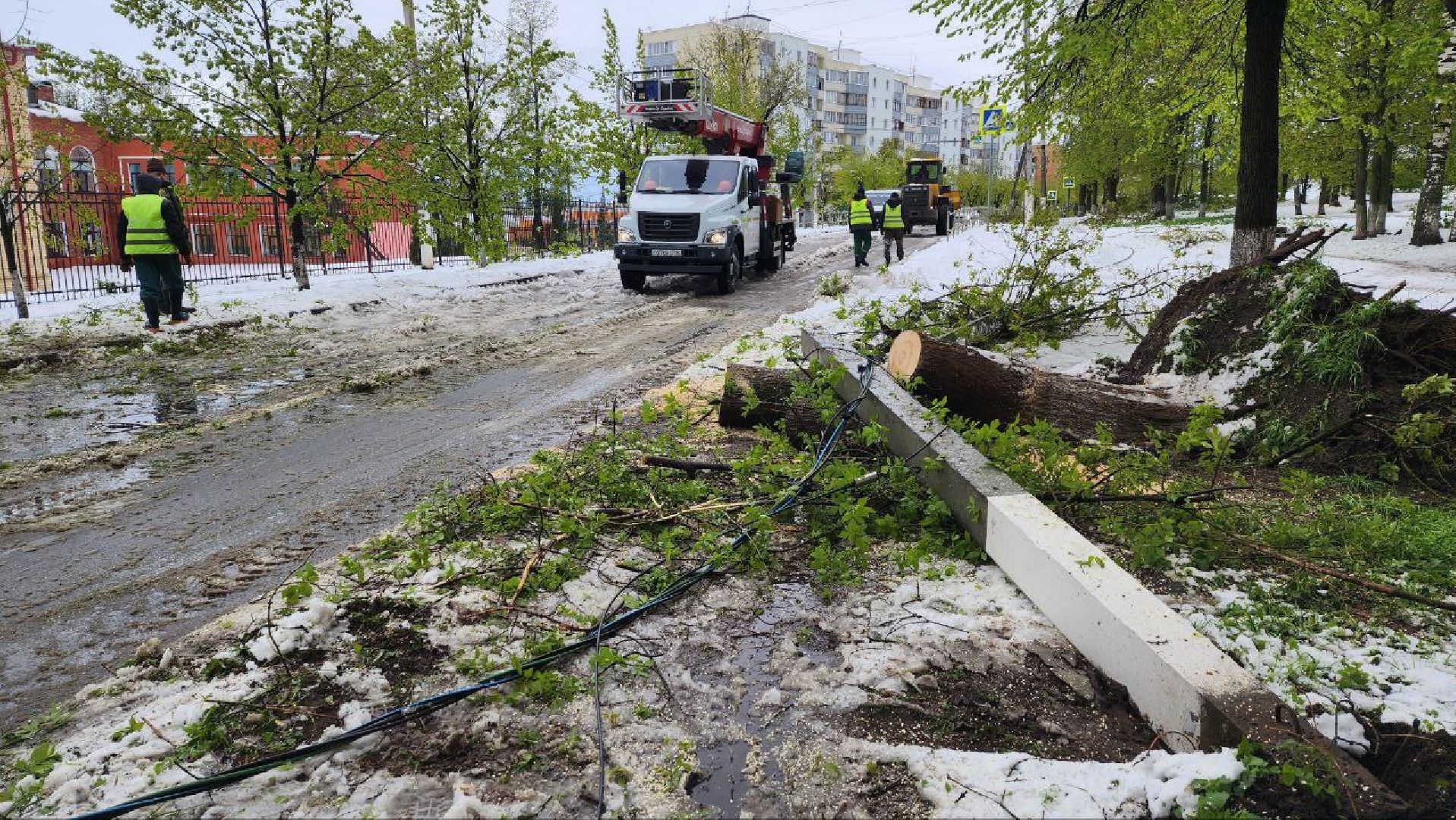 Дмитров, ЧП, Скандинавский циклон, Россети,