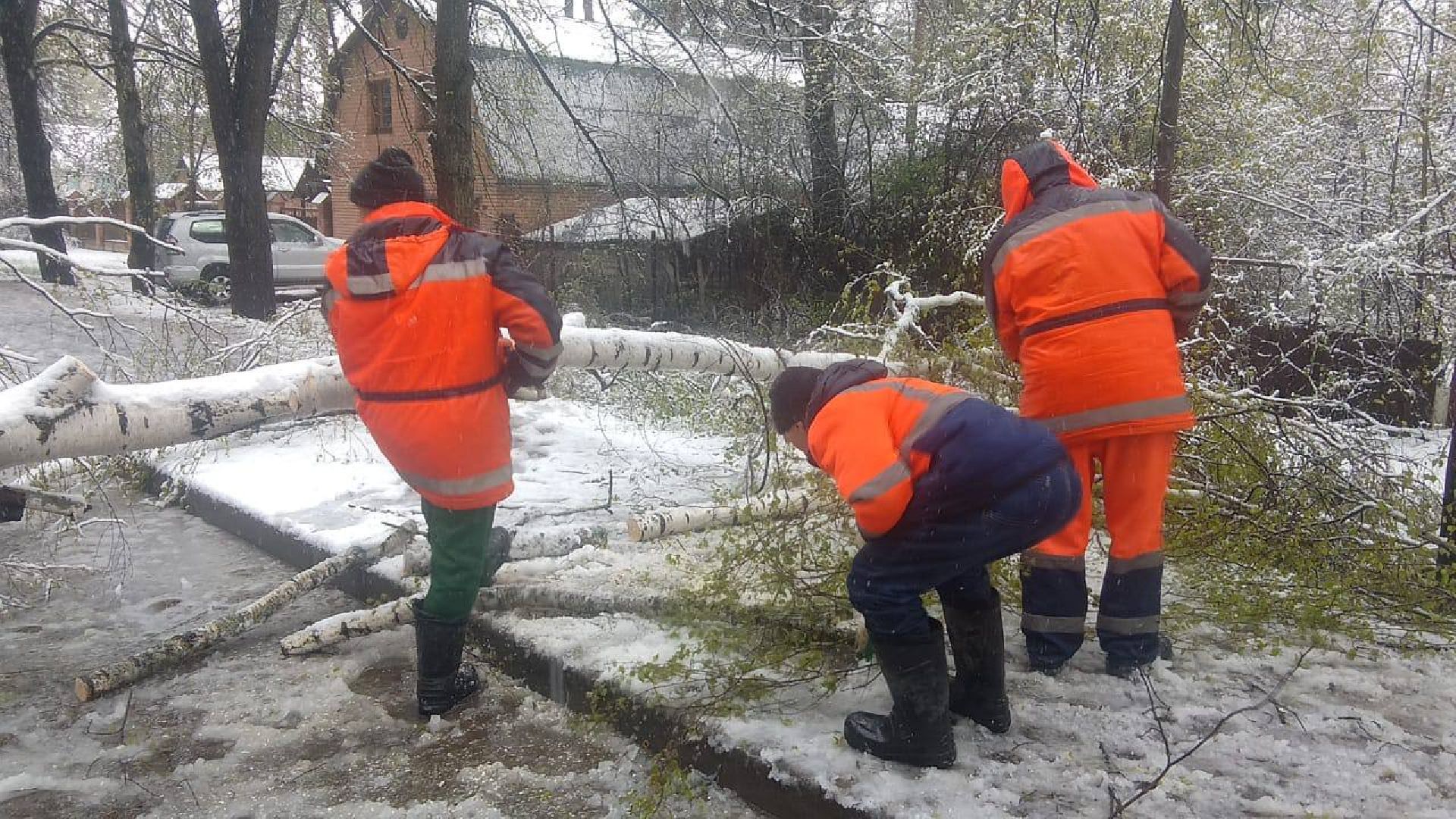 пушкино, снегопад, коммунальная служба,коммунальная техника,