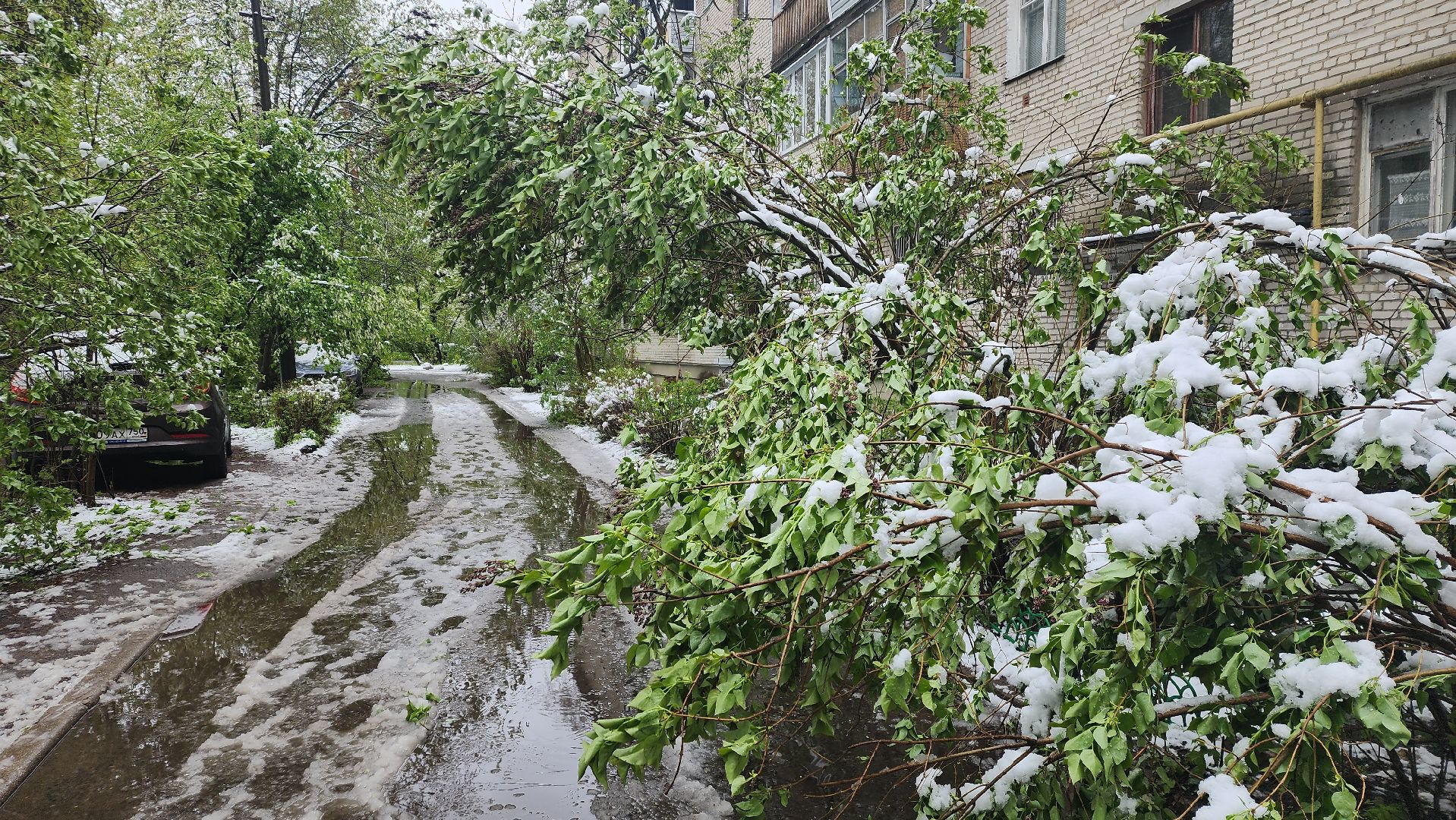 пушкино, снегопад, коммунальная служба,коммунальная техника,