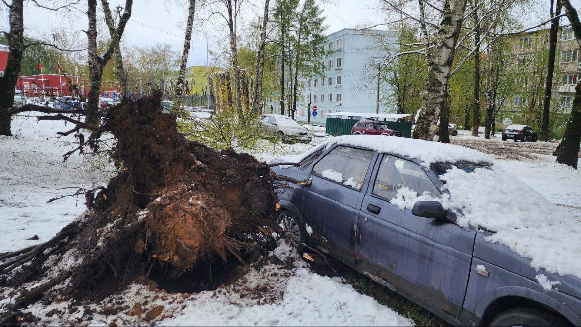Дмитров, ЧП, Скандинавский циклон, Благоустройство,