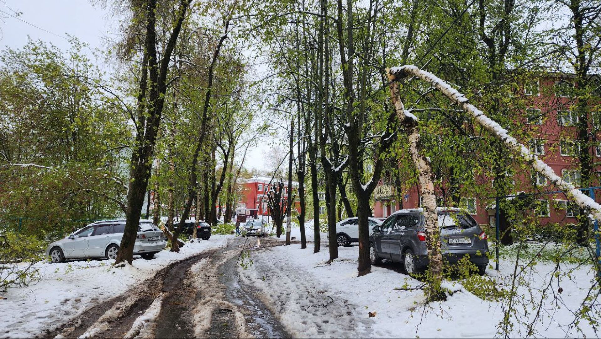 Дмитров, ЧП, Скандинавский циклон, Благоустройство,