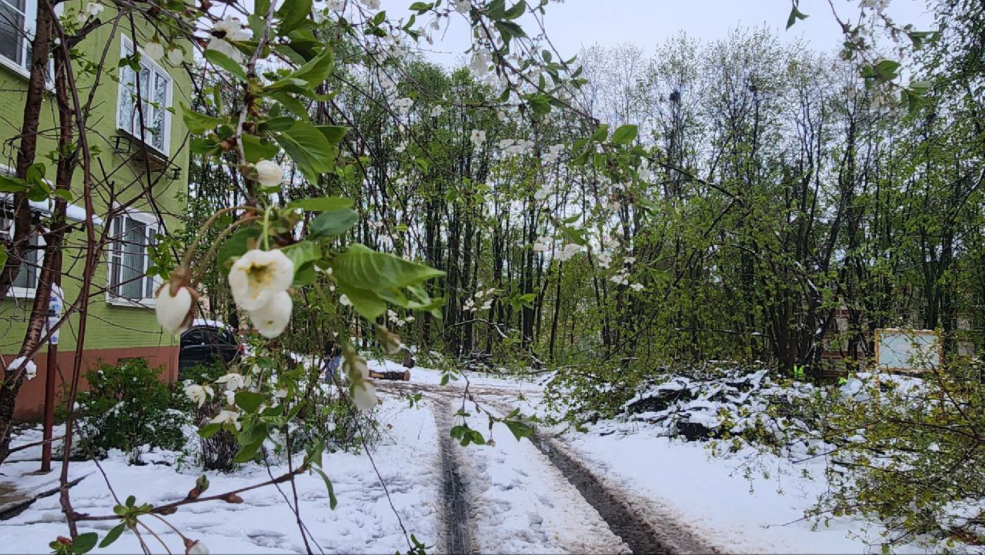 Дмитров, ЧП, Скандинавский циклон, Благоустройство,