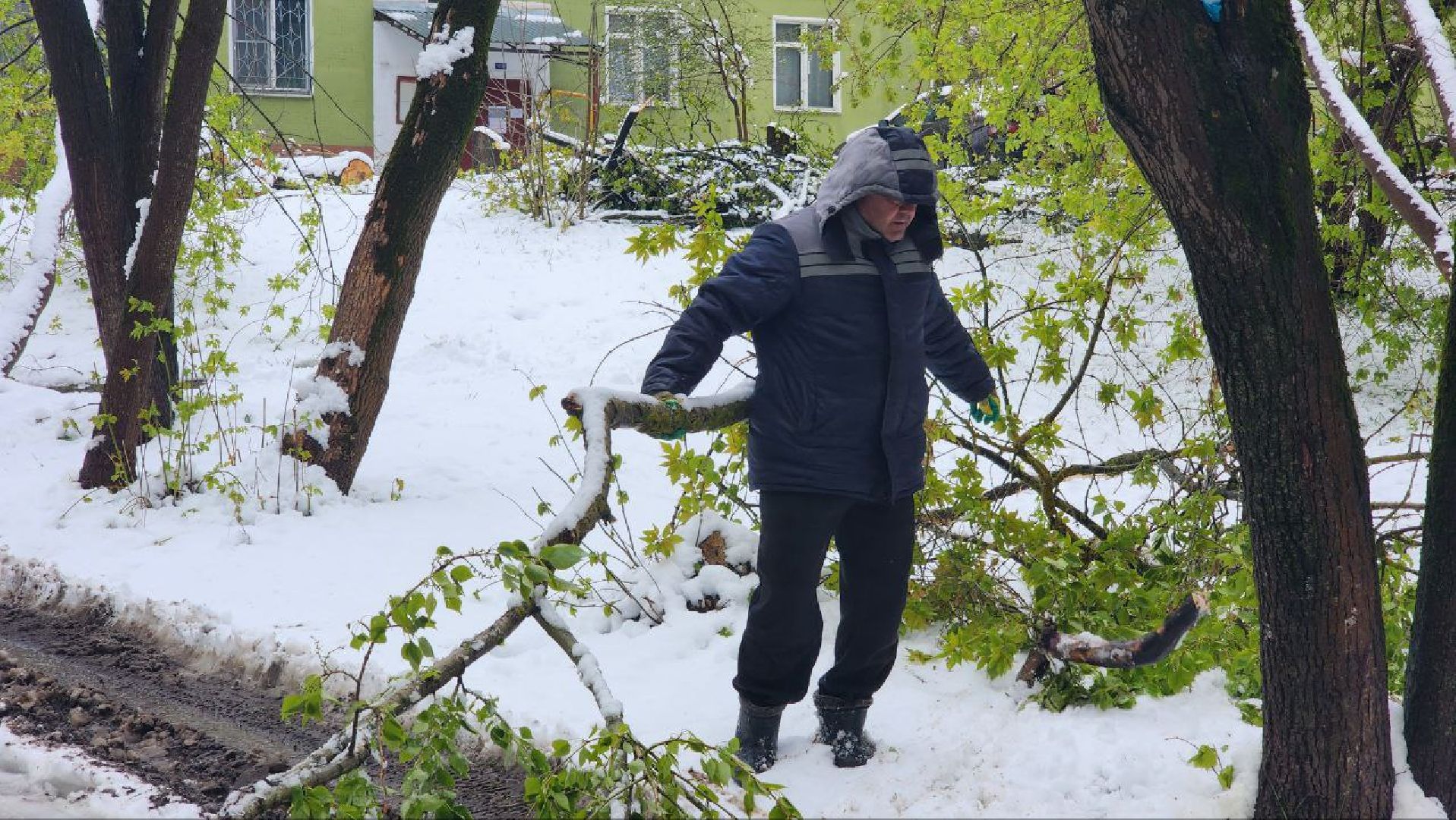 Дмитров, ЧП, Скандинавский циклон, Благоустройство,