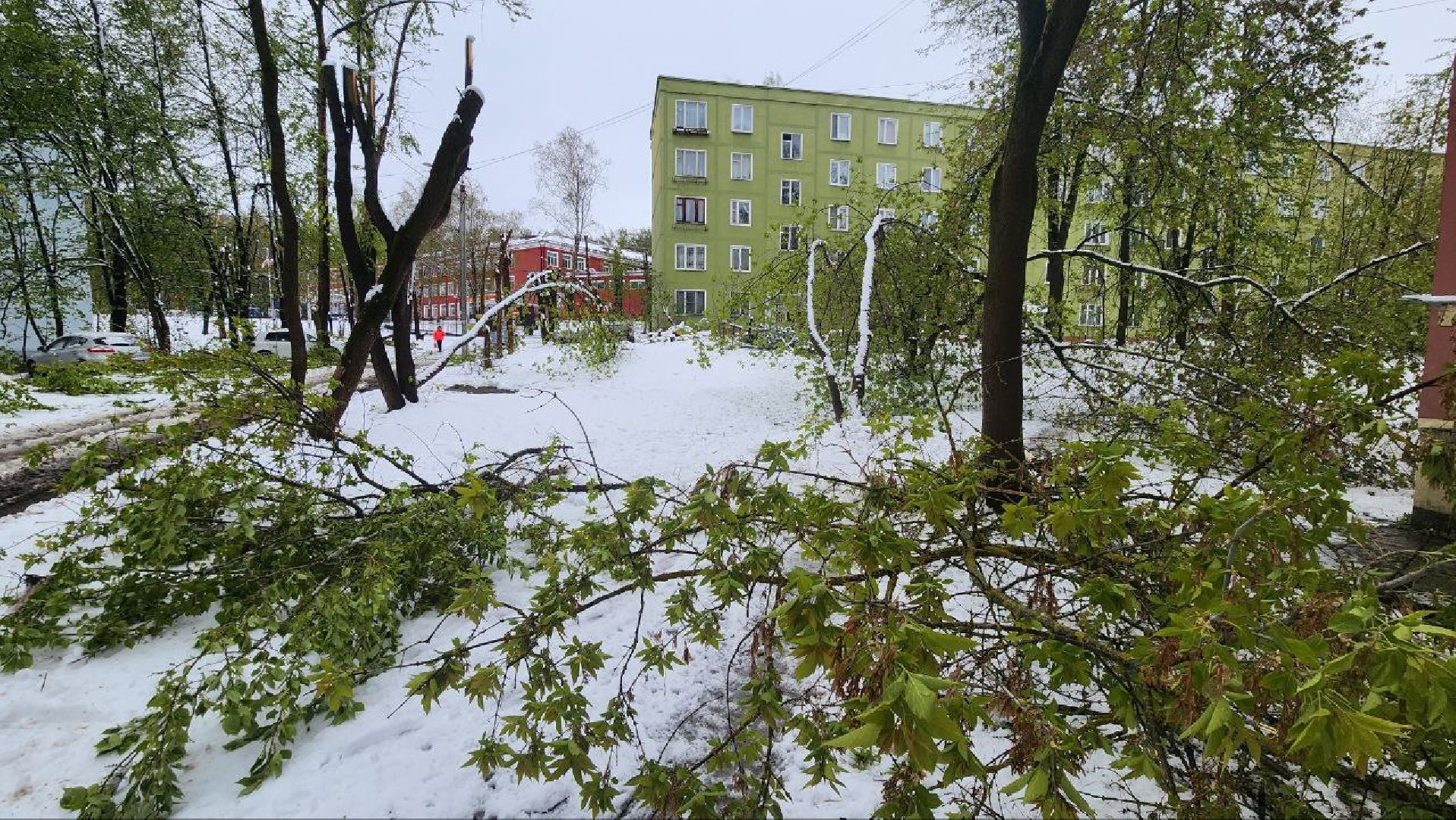 Дмитров, ЧП, Скандинавский циклон, Благоустройство,
