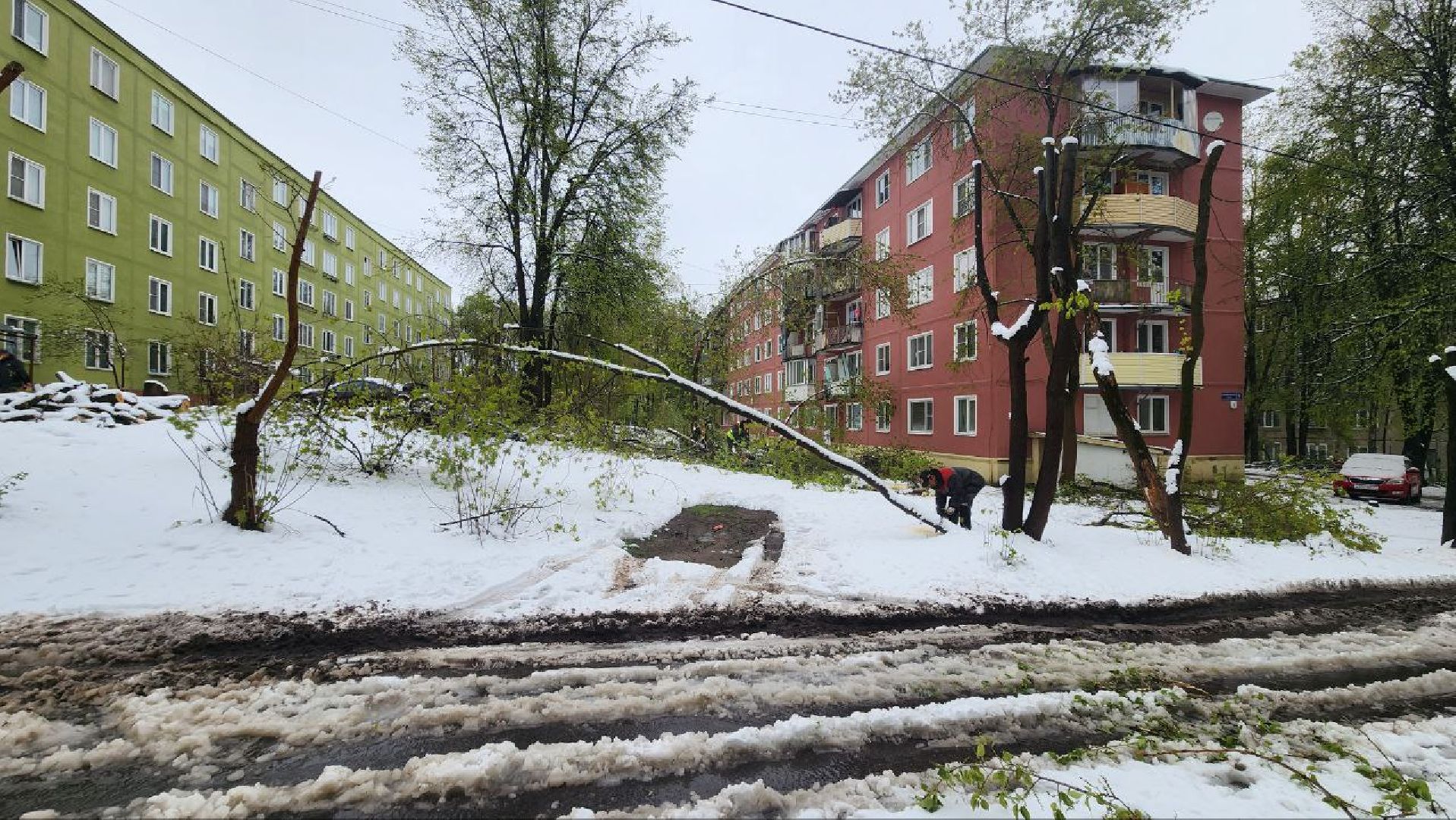 Дмитров, ЧП, Скандинавский циклон, Благоустройство,