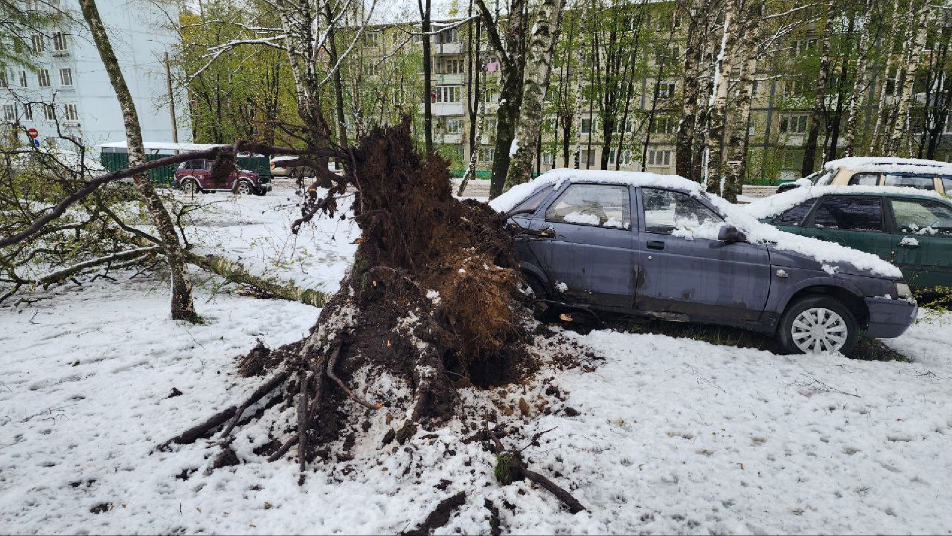Дмитров, ЧП, Скандинавский циклон, Благоустройство,