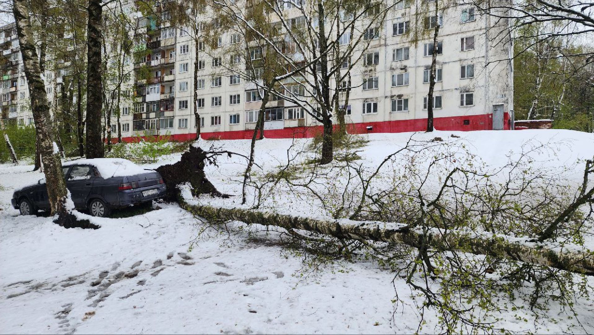 Дмитров, ЧП, Скандинавский циклон, Благоустройство,