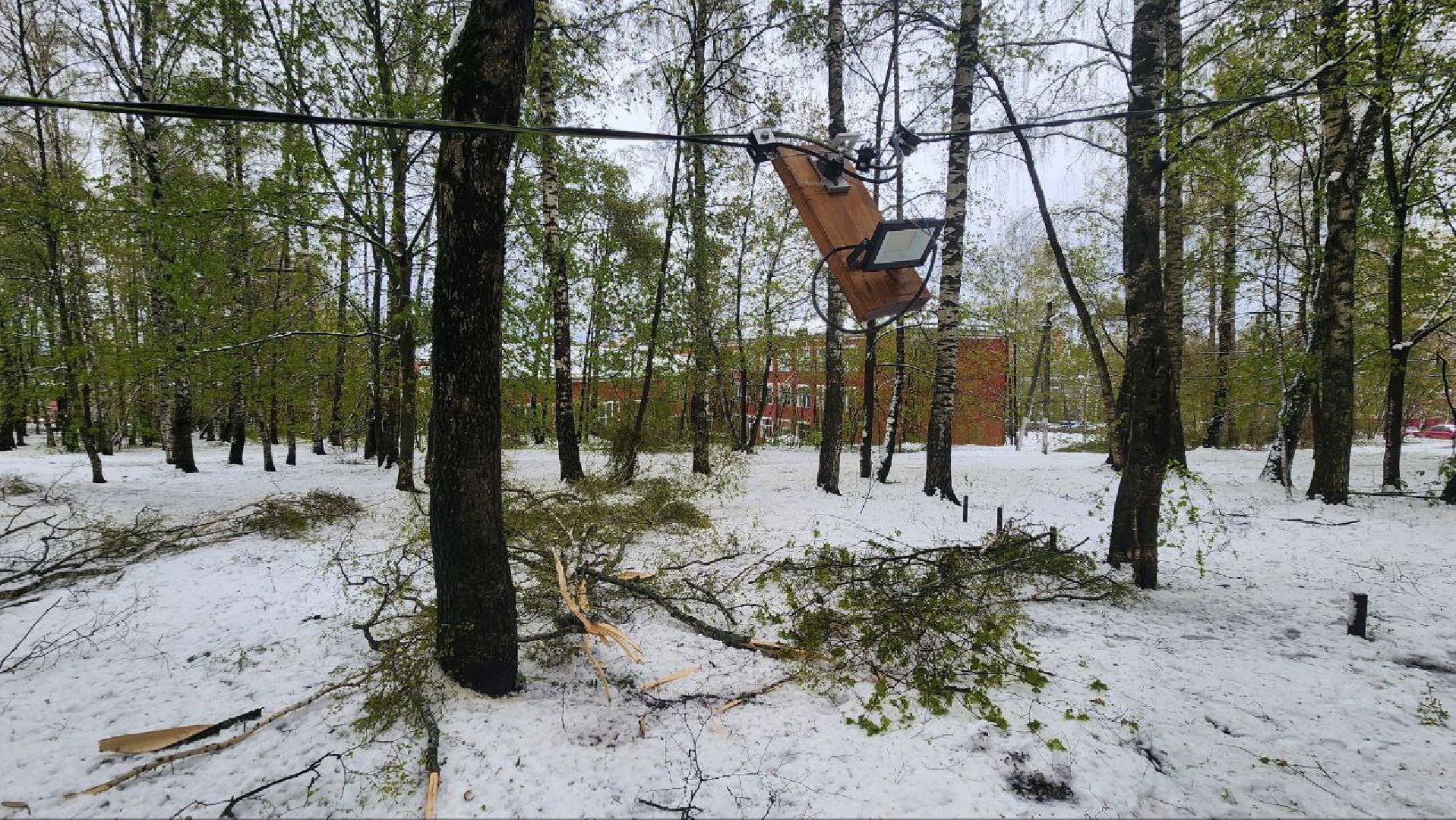 Дмитров, ЧП, Скандинавский циклон, Благоустройство,