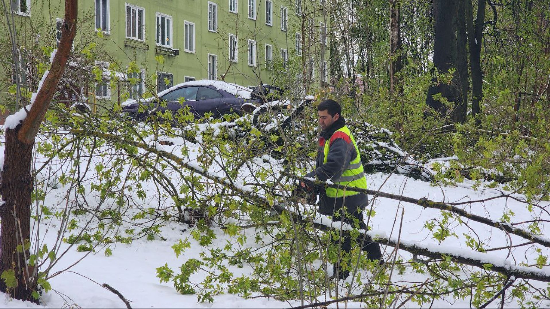 Дмитров, ЧП, Скандинавский циклон, Благоустройство,