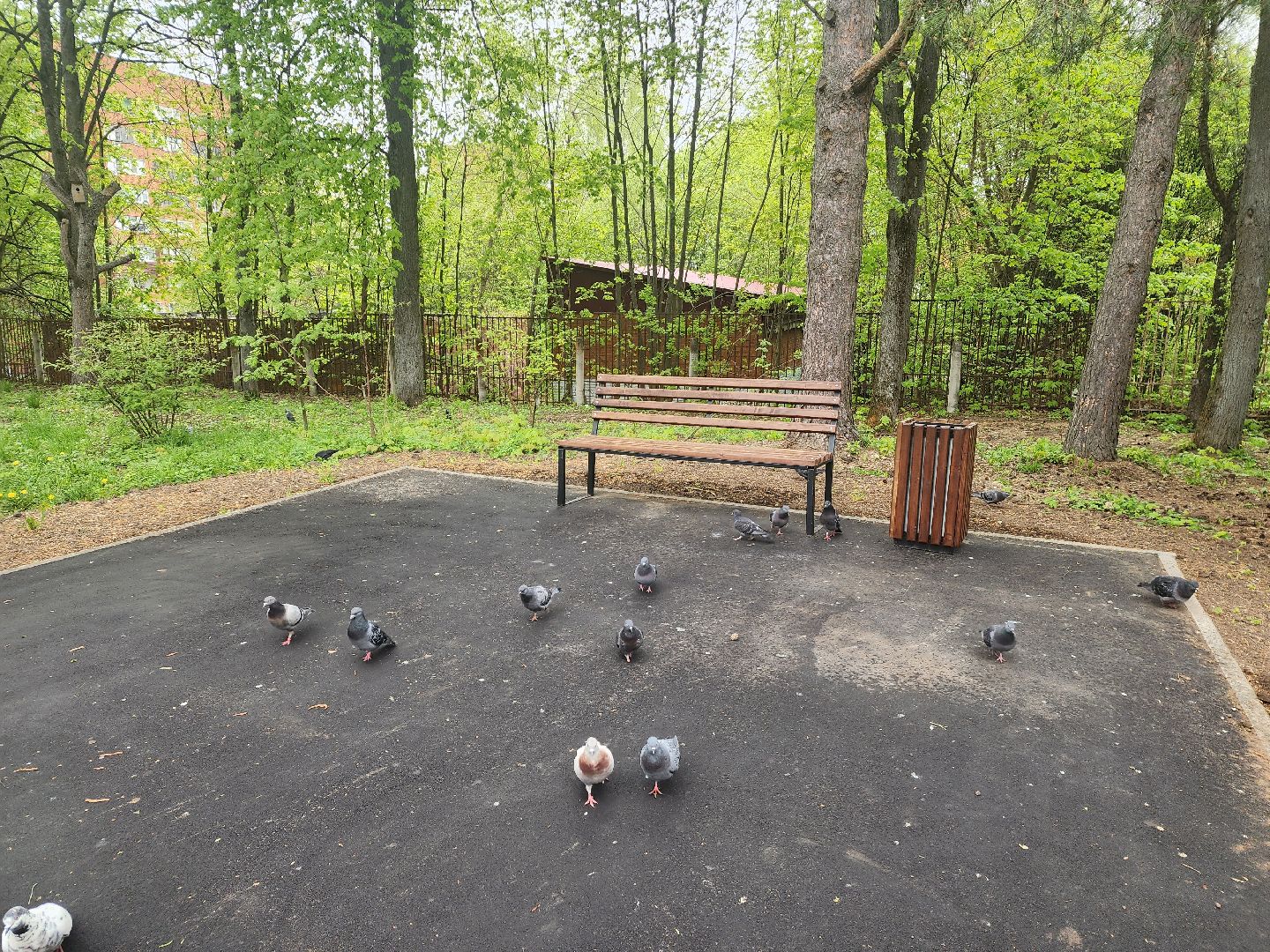 пущино, серпухов, благоустройство,