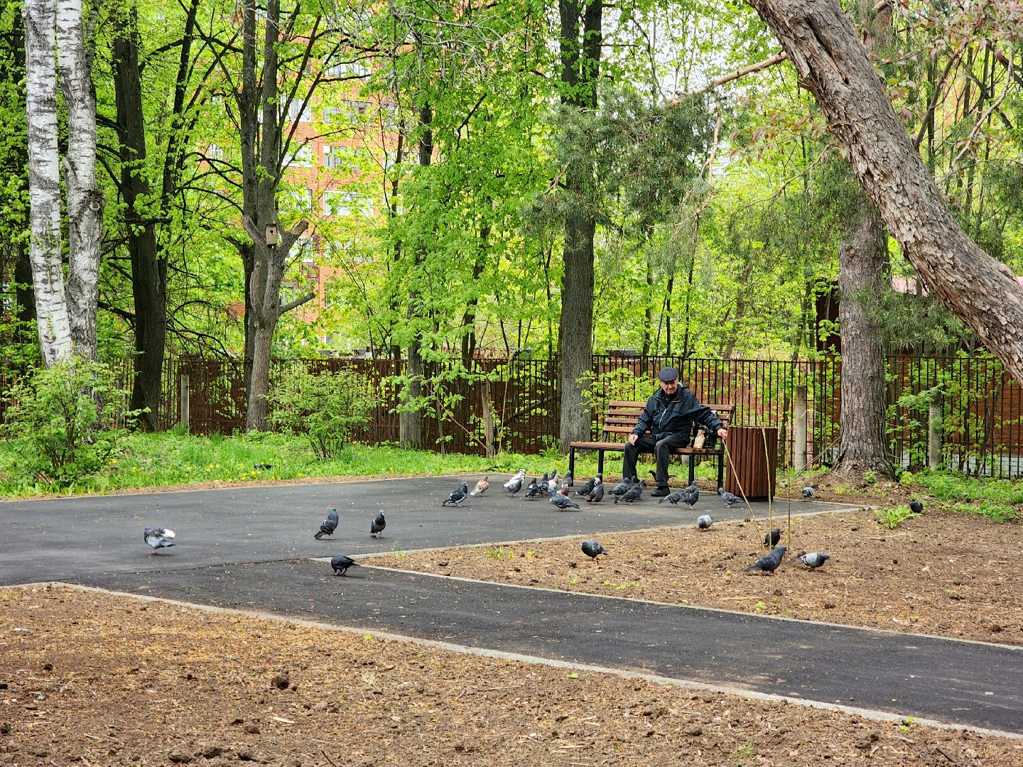 пущино, серпухов, благоустройство,