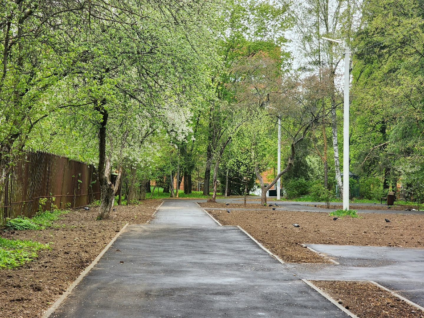 пущино, серпухов, благоустройство,