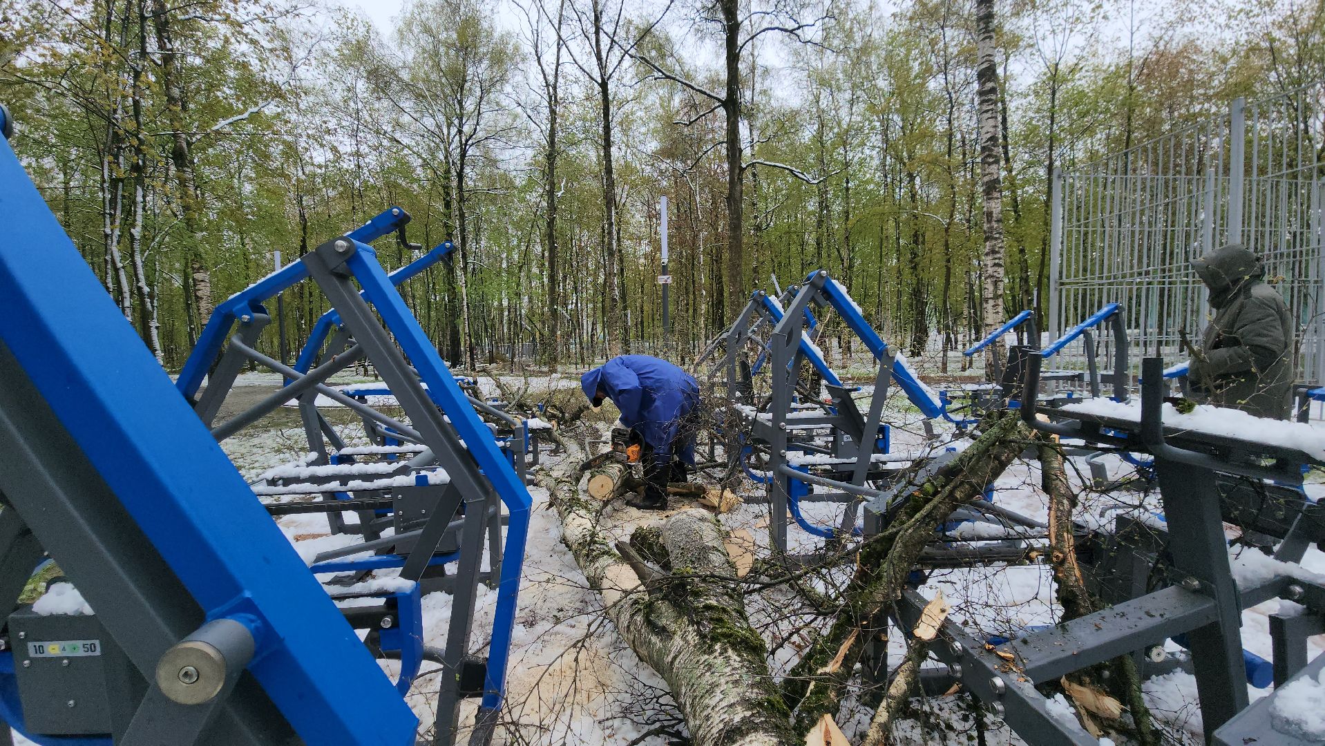 последствия непогоды, упавшие деревья, Лобня, Парк,