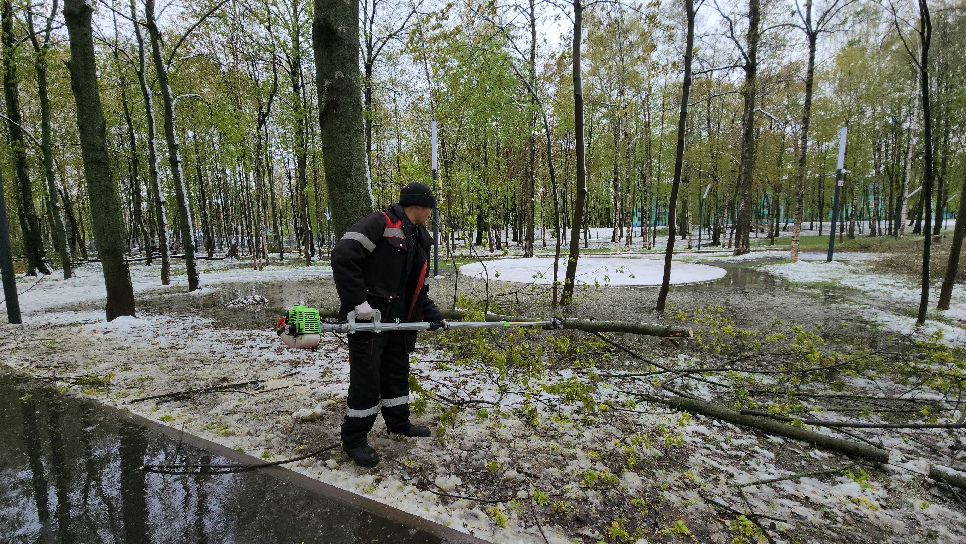 последствия непогоды, упавшие деревья, Лобня, Парк,