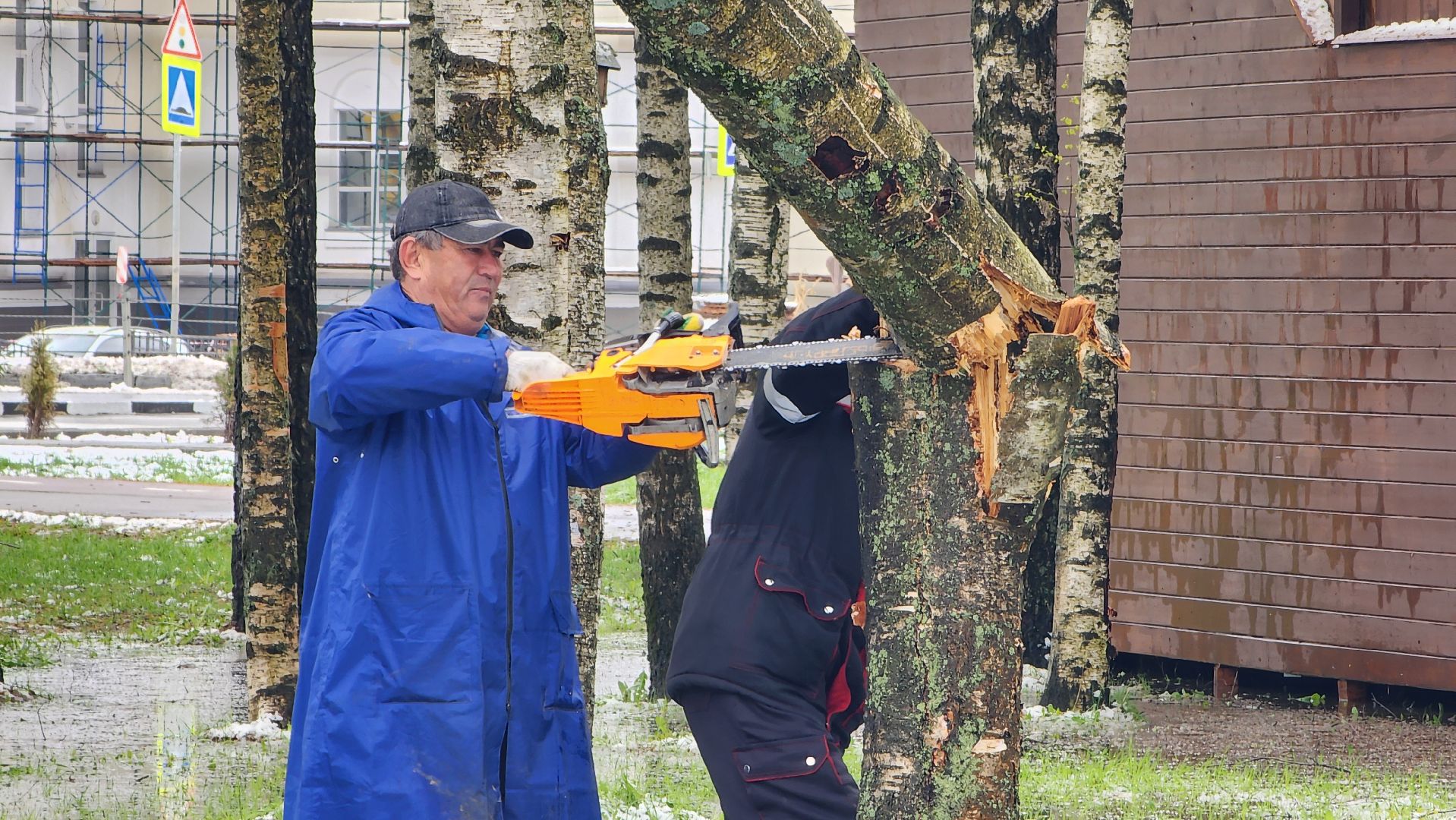 последствия непогоды, упавшие деревья, Лобня, Парк,