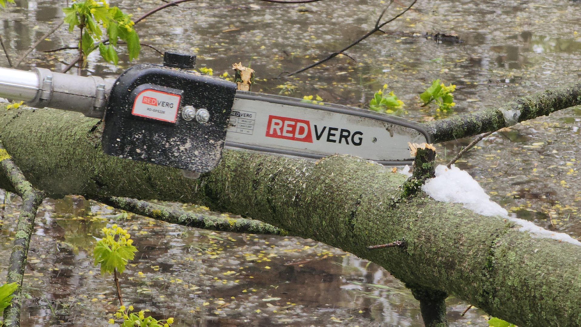 последствия непогоды, упавшие деревья, Лобня, Парк,