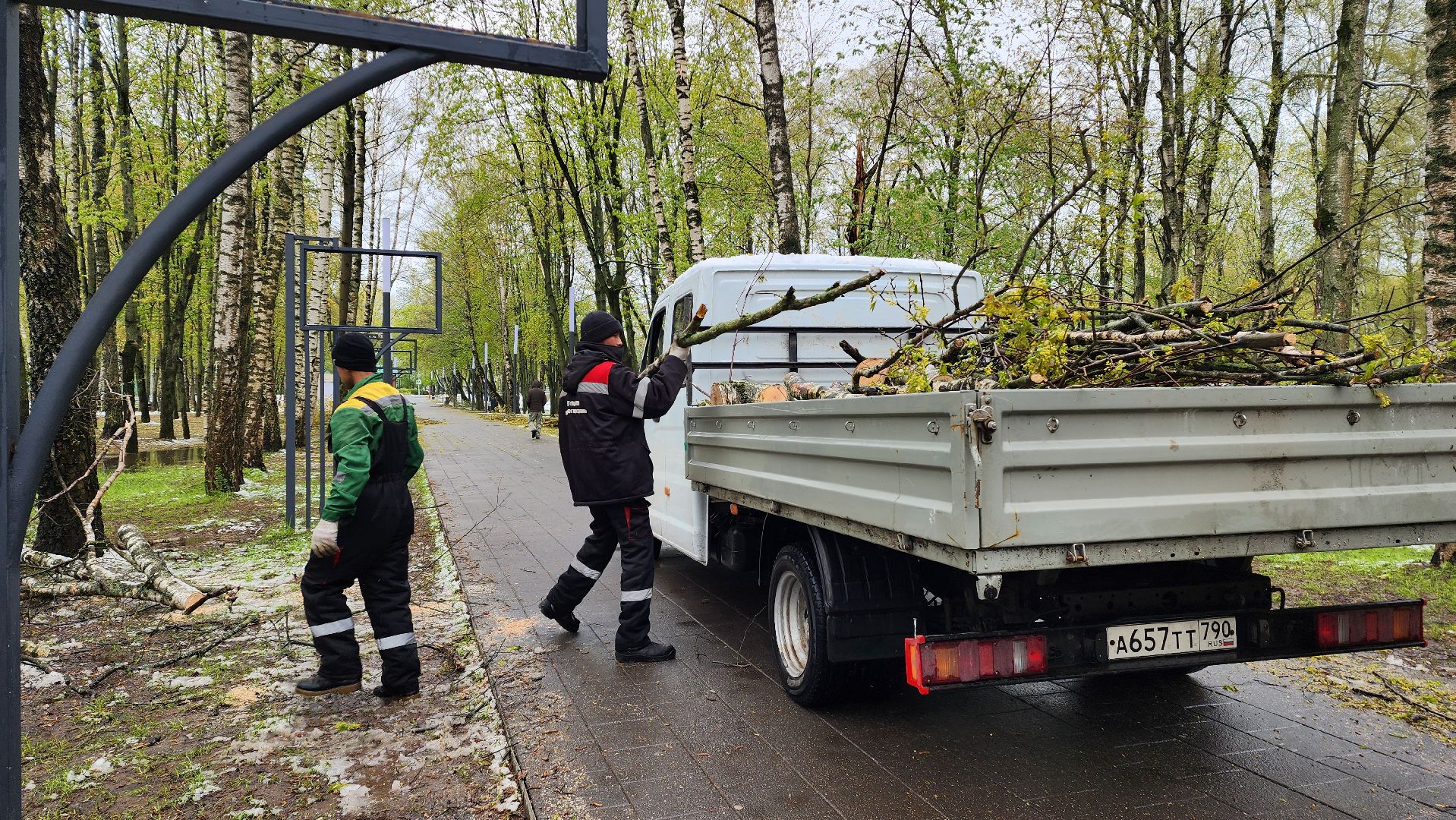 последствия непогоды, упавшие деревья, Лобня, Парк,