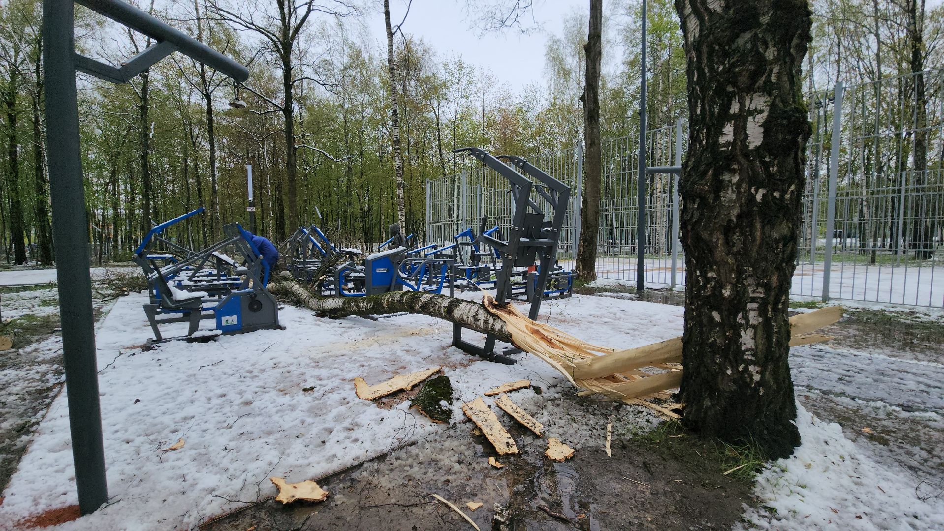 последствия непогоды, упавшие деревья, Лобня, Парк,