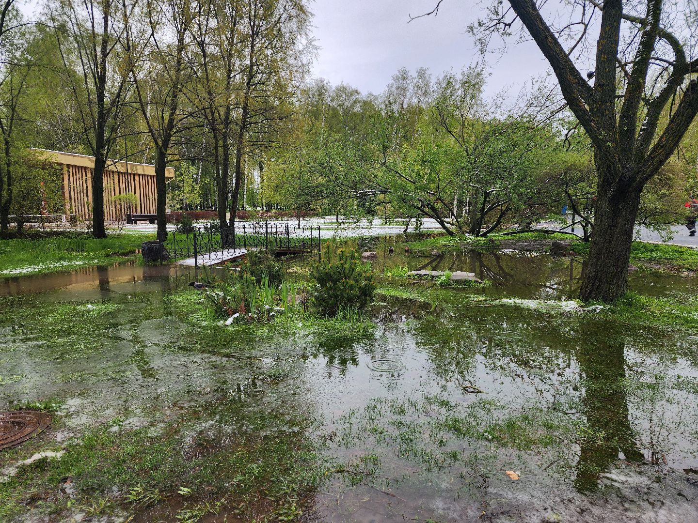 мытищи, снегопад,