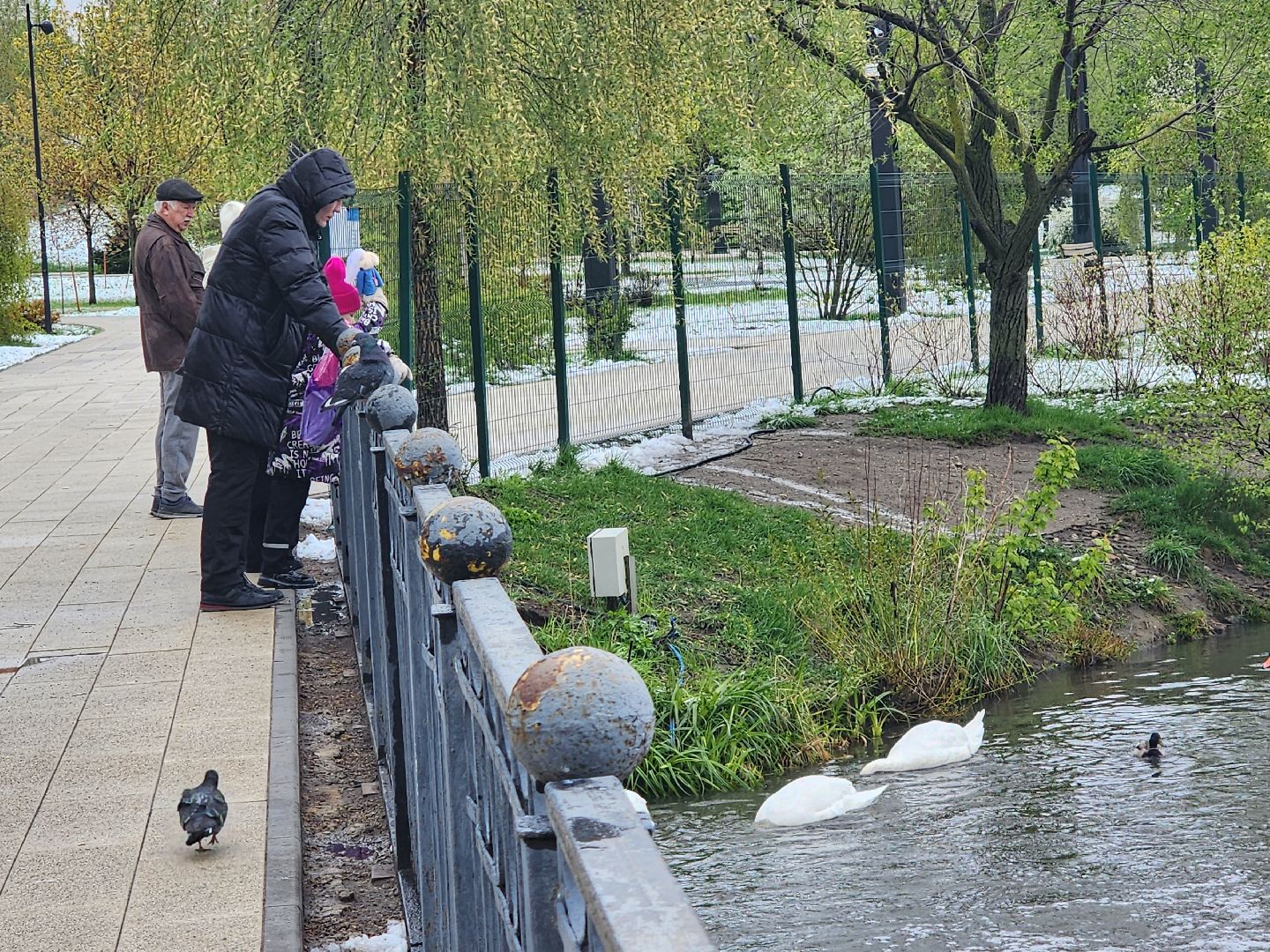 мытищи, снегопад,