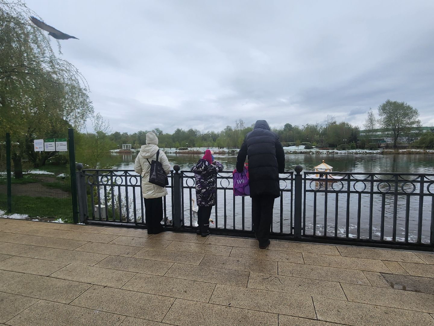 мытищи, снегопад,