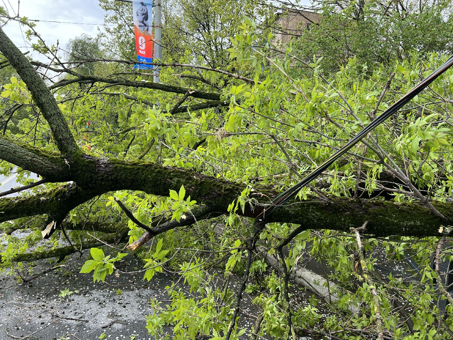 Химки , ЖКХ, аварийная бригада,