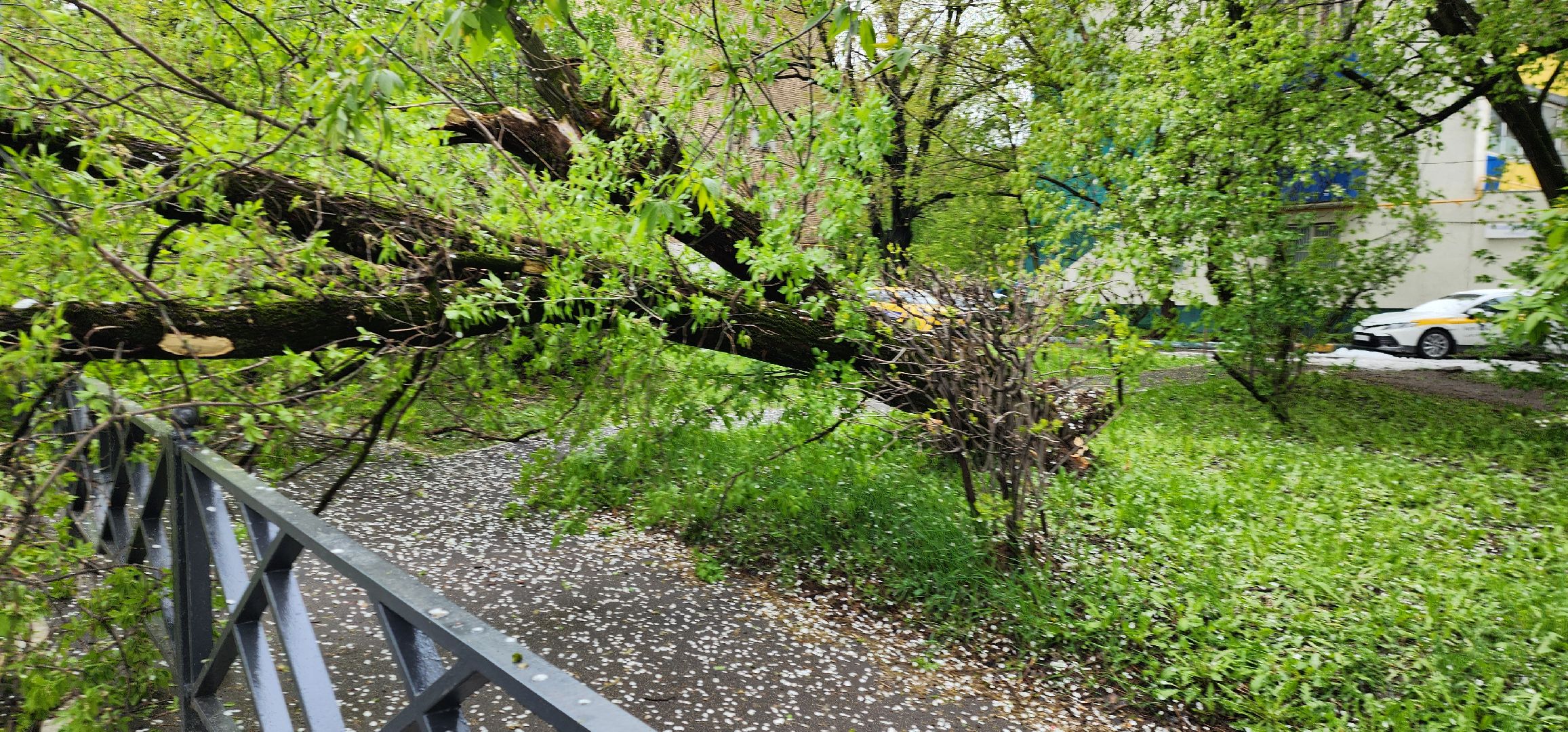 Химки , ЖКХ, аварийная бригада,