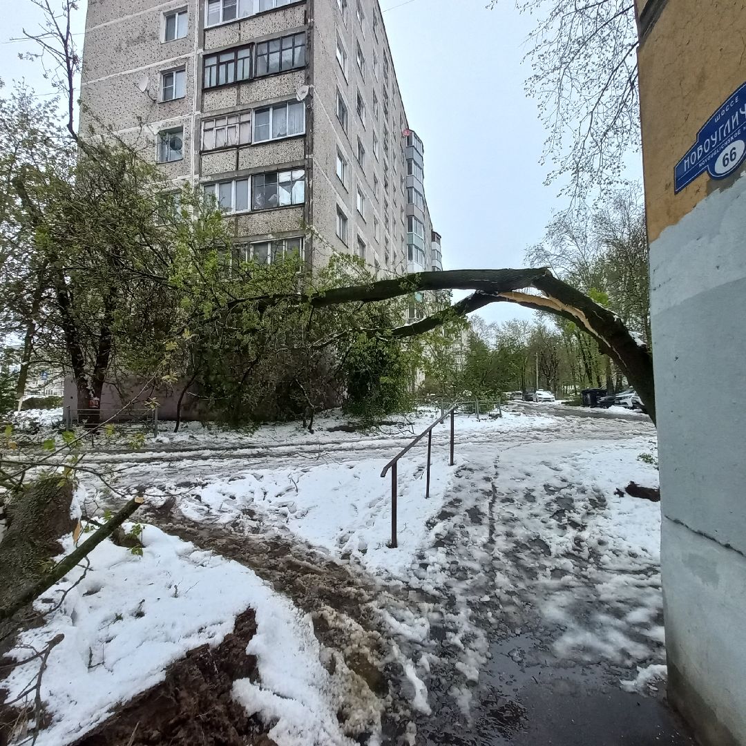 сергиев посад, чп, снегопад, скандинавский циклон, мособлэнерго, мособлпожспас,