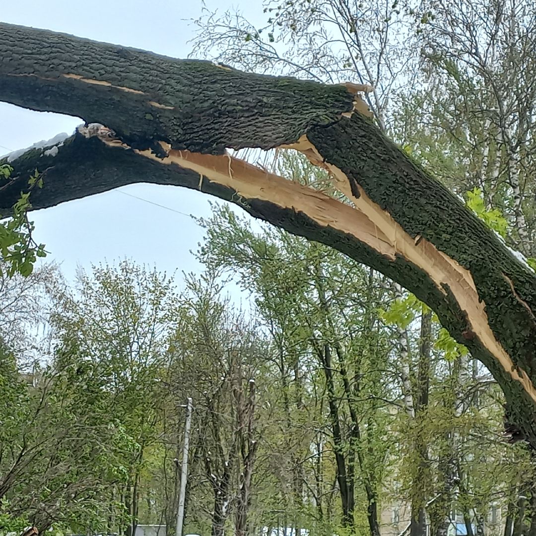 сергиев посад, чп, снегопад, скандинавский циклон, мособлэнерго, мособлпожспас,