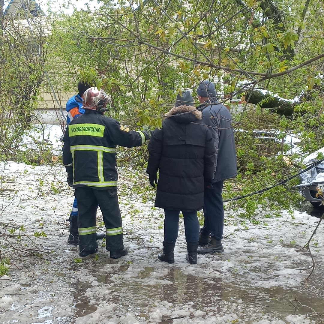 сергиев посад, чп, снегопад, скандинавский циклон, мособлэнерго, мособлпожспас,