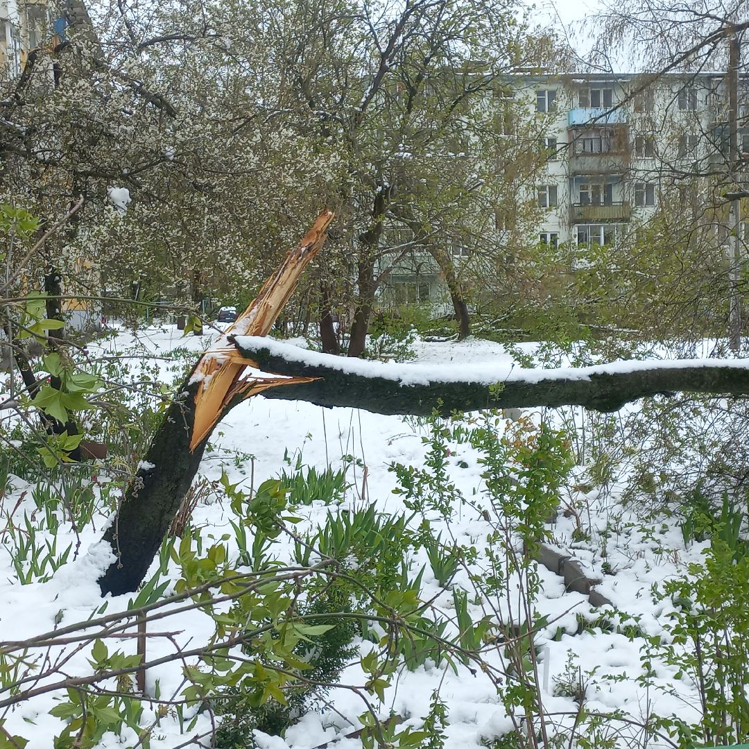 сергиев посад, чп, снегопад, скандинавский циклон, мособлэнерго, мособлпожспас,