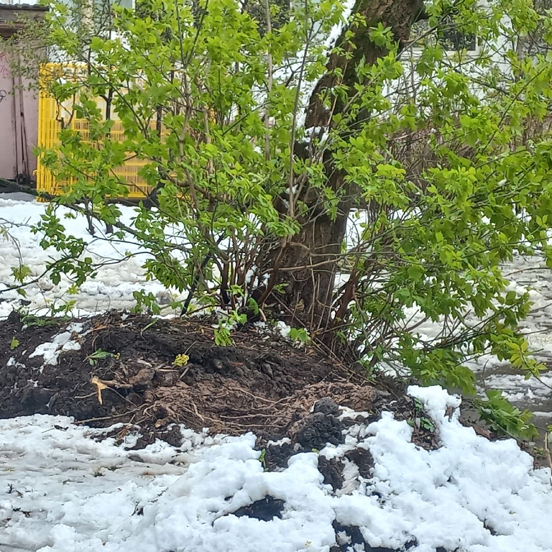 сергиев посад, чп, снегопад, скандинавский циклон, мособлэнерго, мособлпожспас,