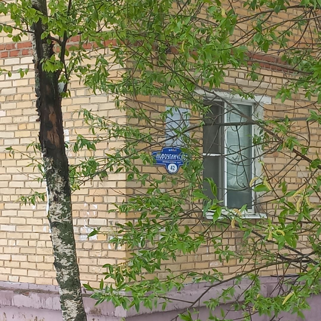 сергиев посад, чп, снегопад, скандинавский циклон, мособлэнерго, мособлпожспас,